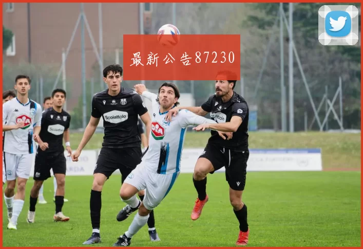 最新公告87230