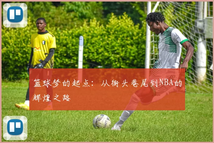 篮球梦的起点：从街头巷尾到NBA的辉煌之路