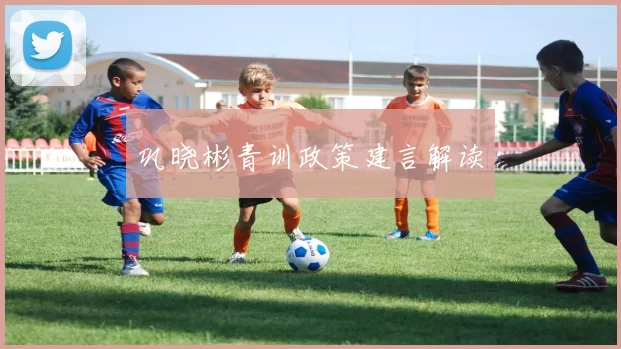 巩晓彬青训政策建言解读