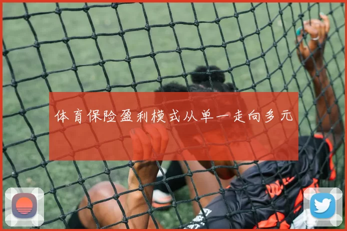 体育保险盈利模式从单一走向多元