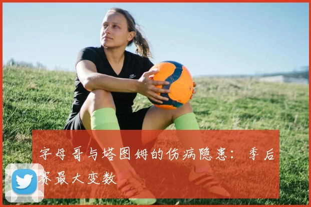字母哥与塔图姆的伤病隐患：季后赛最大变数